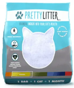 Best Cat Litter for Odor Control | Fluffy Kitty