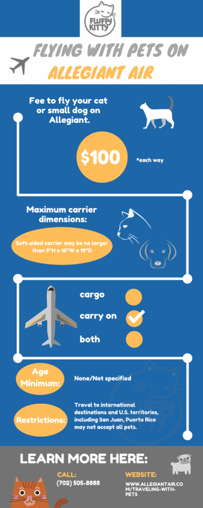 Allegiant Pet Policy | Best Airlines for Cats by Fluffy Kitty