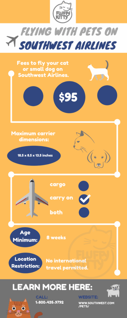 Southwest Pet Policy | Best Airlines for Cats by Fluffy Kitty