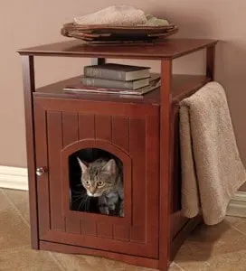 Best Cat Furniture | Fluffy Kitty