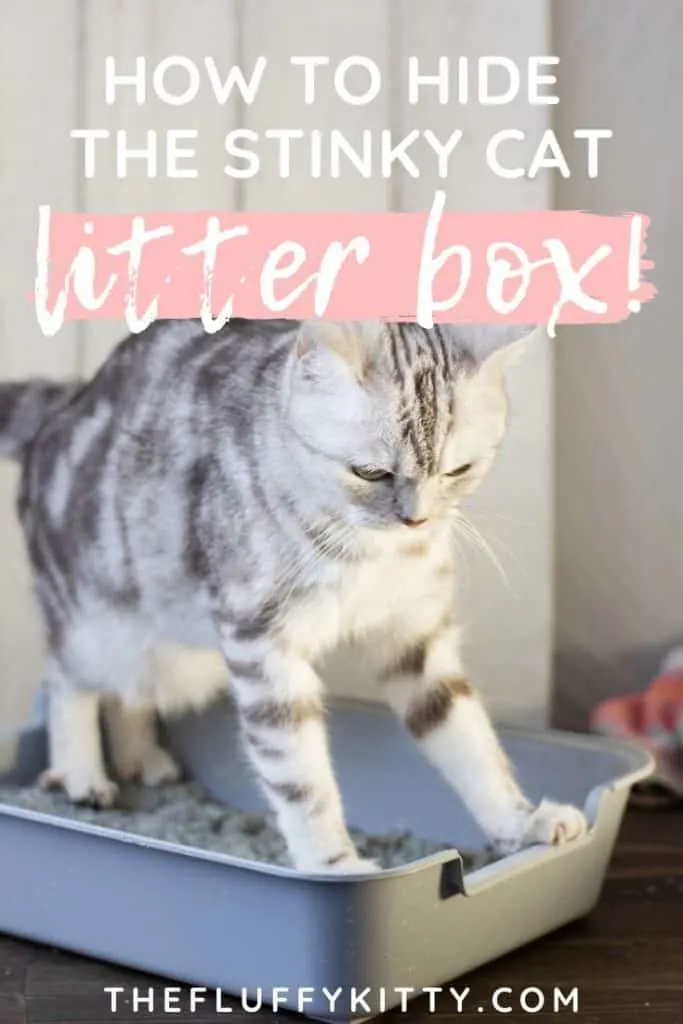 How to hide the stinky litter box using decorative cat litter box furniture! | thefluffykitty.com