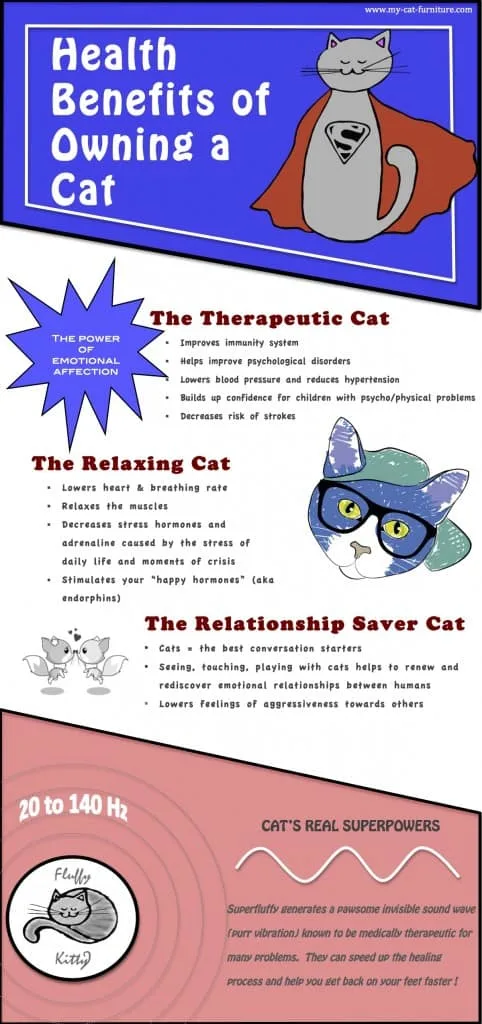Health benefits of owning a cat infographic