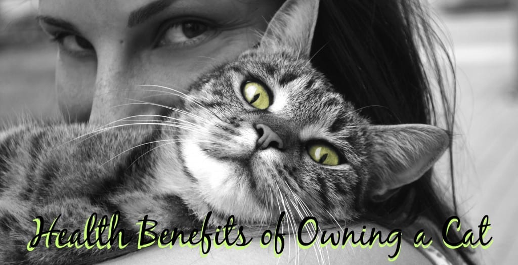 Health Benefits of Owning a Cat
