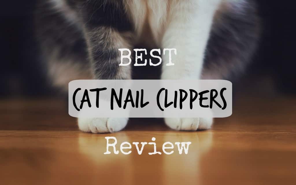 Best Cat Nail Clippers Review [Top 4 + Clipping Guide] - The Fluffy Kitty