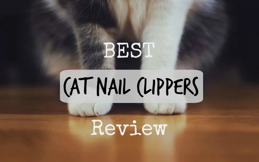 best cat nail clippers review
