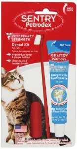 tooth brush for cats
