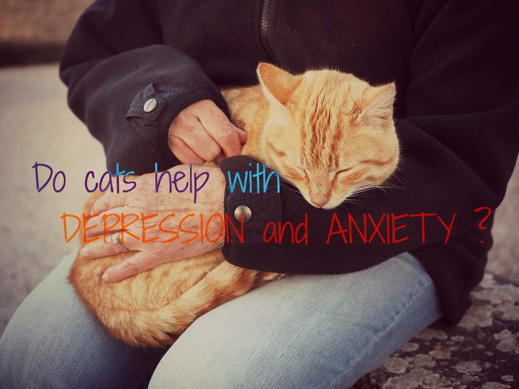 do cats help with depression and anxiety