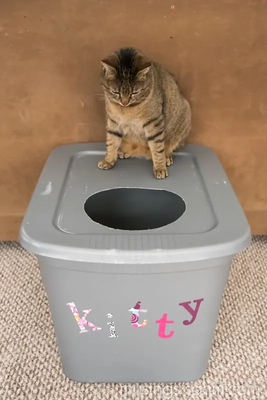 DIY-Kitty-Litter-Box