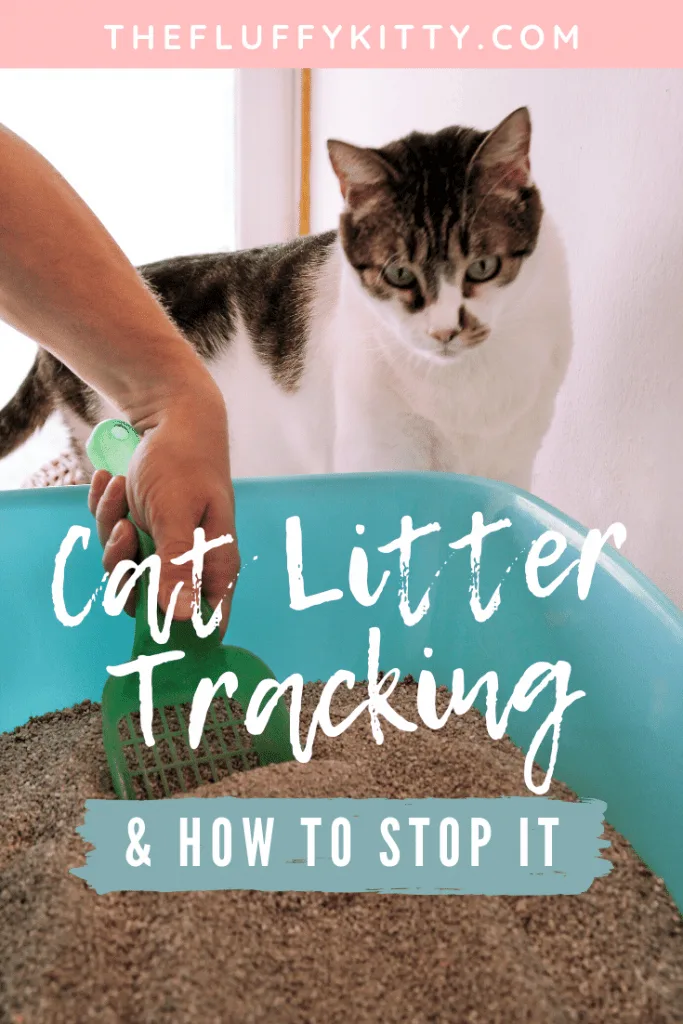 How to Stop Your Cat from Tracking Litter Everywhere #catlitter #cats #catlitter #cats Guide by Fluffy Kitty www.thefluffykitty.com