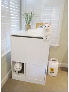 out of sight litter box