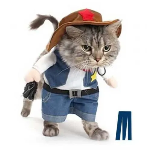 best halloween cat costume cowboy-cat