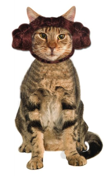 best halloween costume for cat lady princess-leia-cat