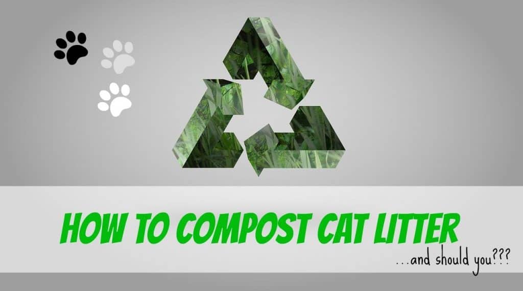 how-to-compost-cat-litter