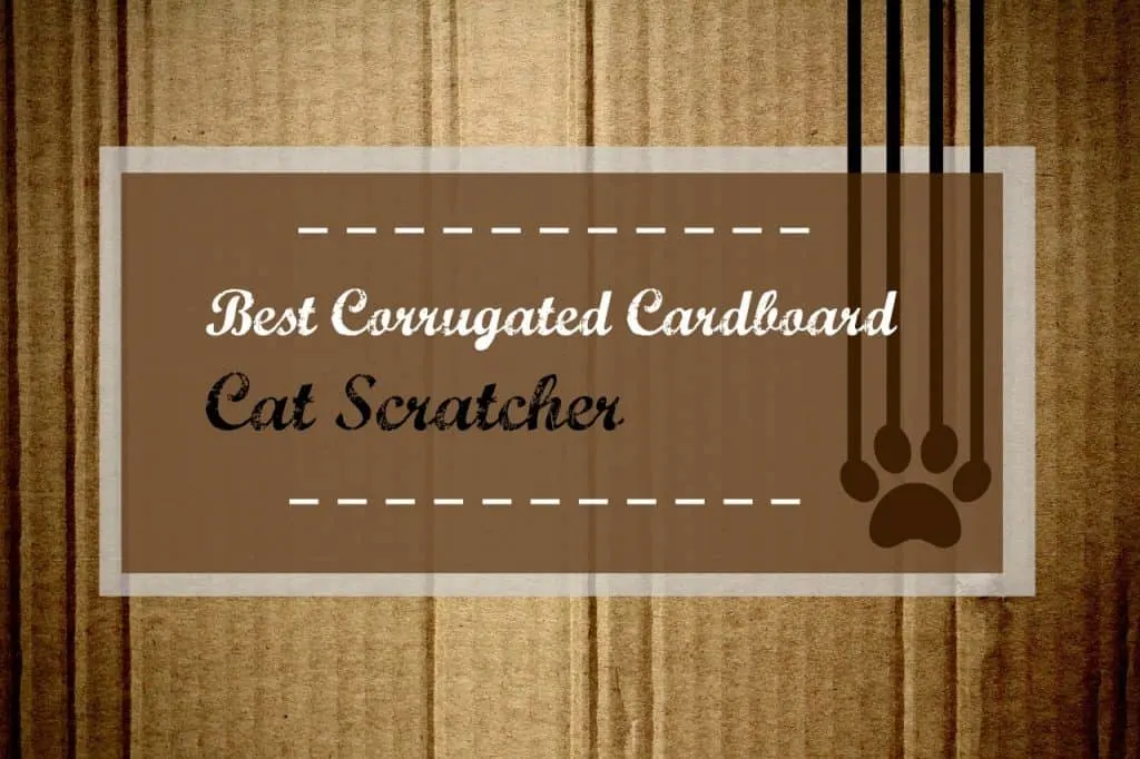 best-corrugated-cardboard-cat-scratcher-header
