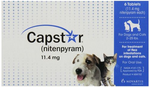 capstar best oral flea treatment for cats