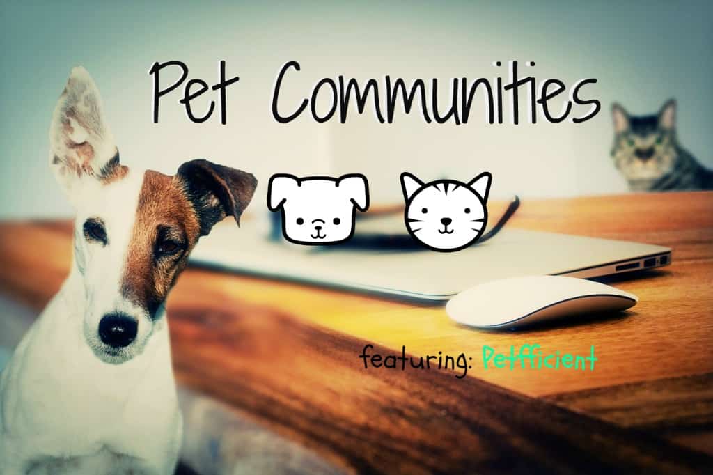 Pet Communities | Petfficient