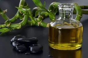 Castor oil for cats
