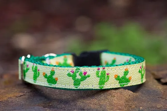 Best cat collar with bell