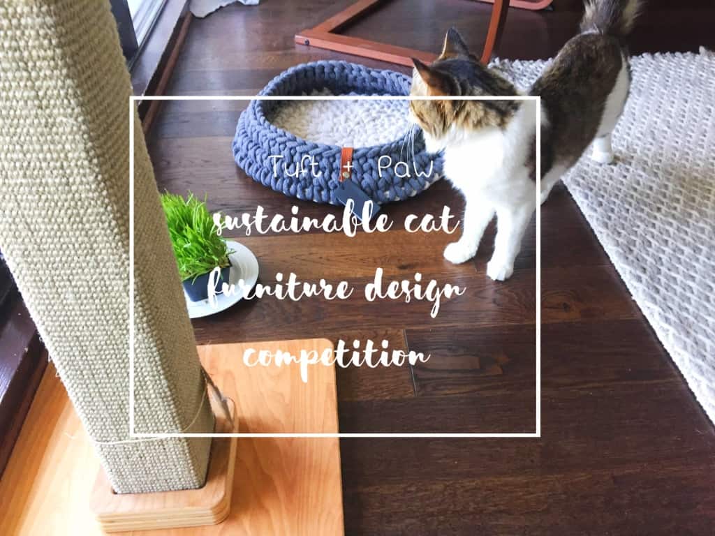 Tuft + Paw Sustainable Cat Furniture Design Competition | Fluffy Kitty
