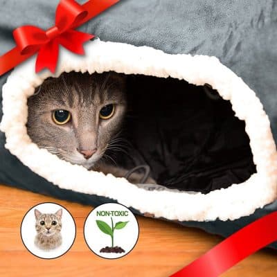 Best Christmas Gifts for Cats/Fluffy Kitty