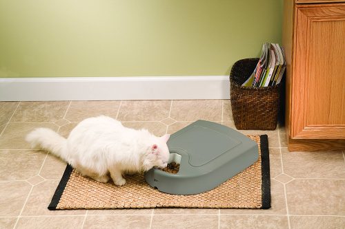 Petsafe 5-Meal Automatic Dog and Cat Feeder | FK