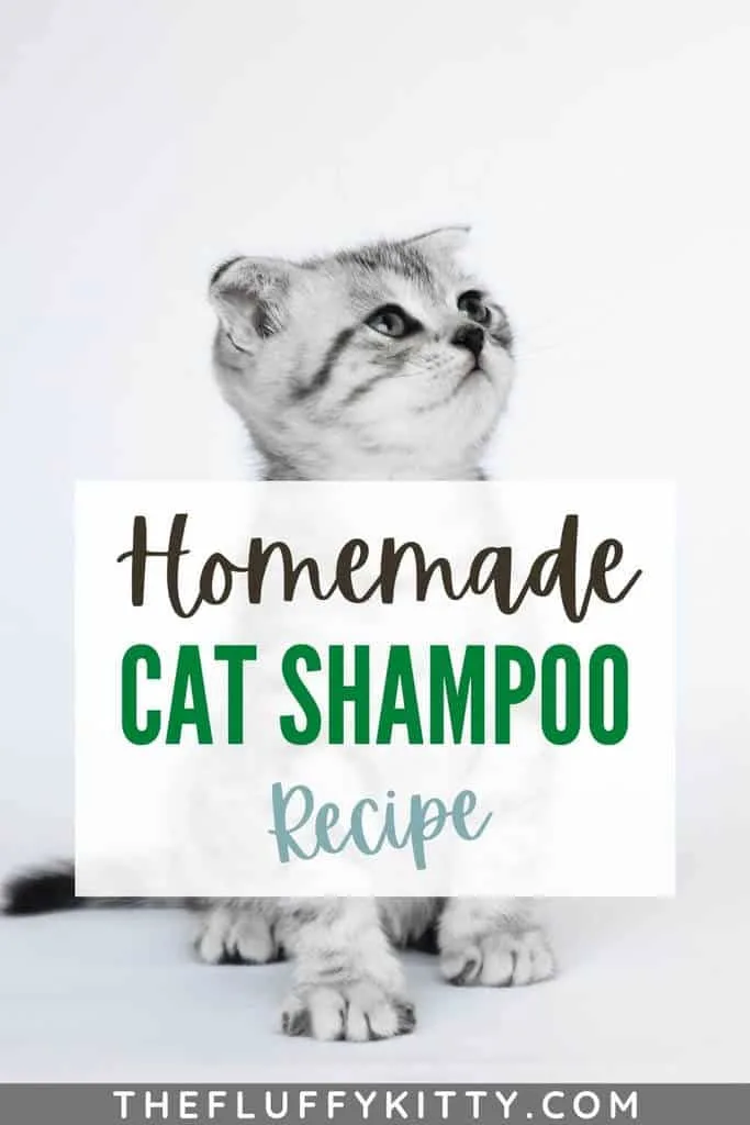 cat shampoo pin 1