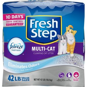 The Best Clumping Cat Litter | Fluffy Kitty