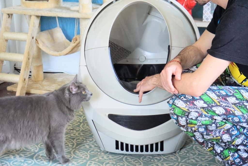 Litter-Robot III Open Air with Connect Review | Fluffy Kitty