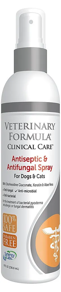 Best Antiseptic for Cats | Fluffy Kitty
