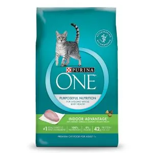 Purina One Cat Food Review | Fluffy Kitty