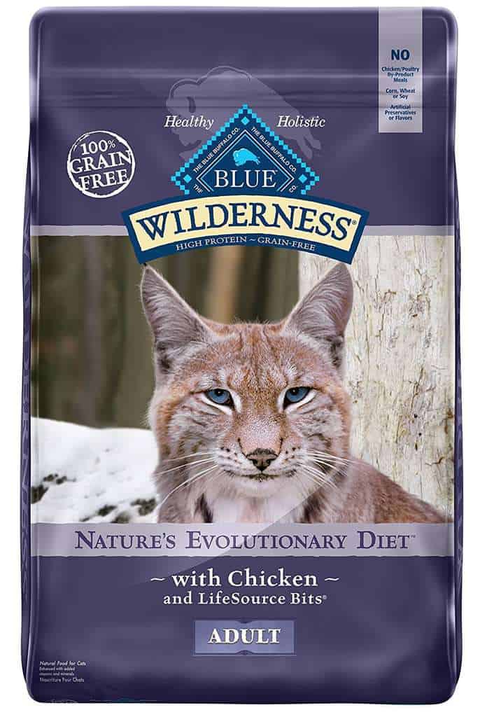 Best Grain Free Food for Cats | Fluffy Kitty