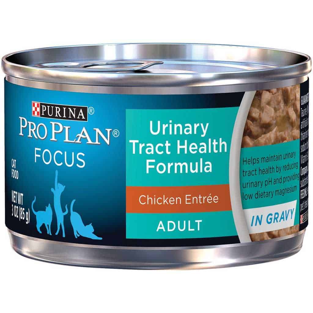 Best Cat Food for Urinary Tract Health
