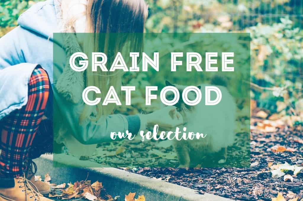Best Grain Free Food for Cats | Fluffy Kitty