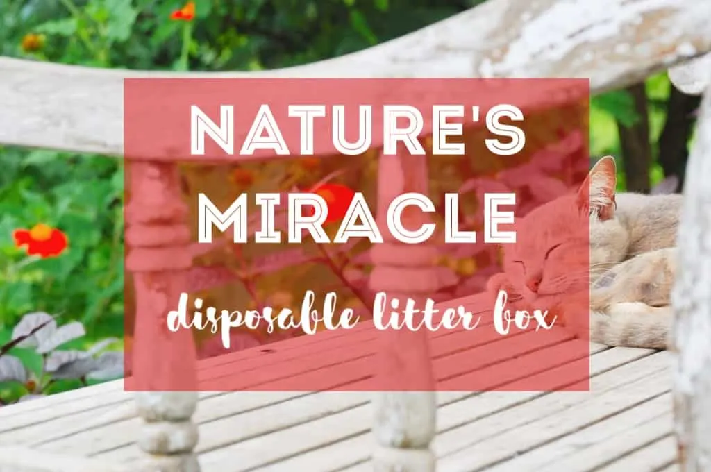 Nature's Miracle Disposable Litter Box Review | Fluffy Kitty