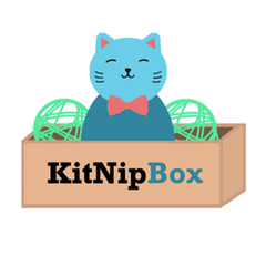 kitnipbox review