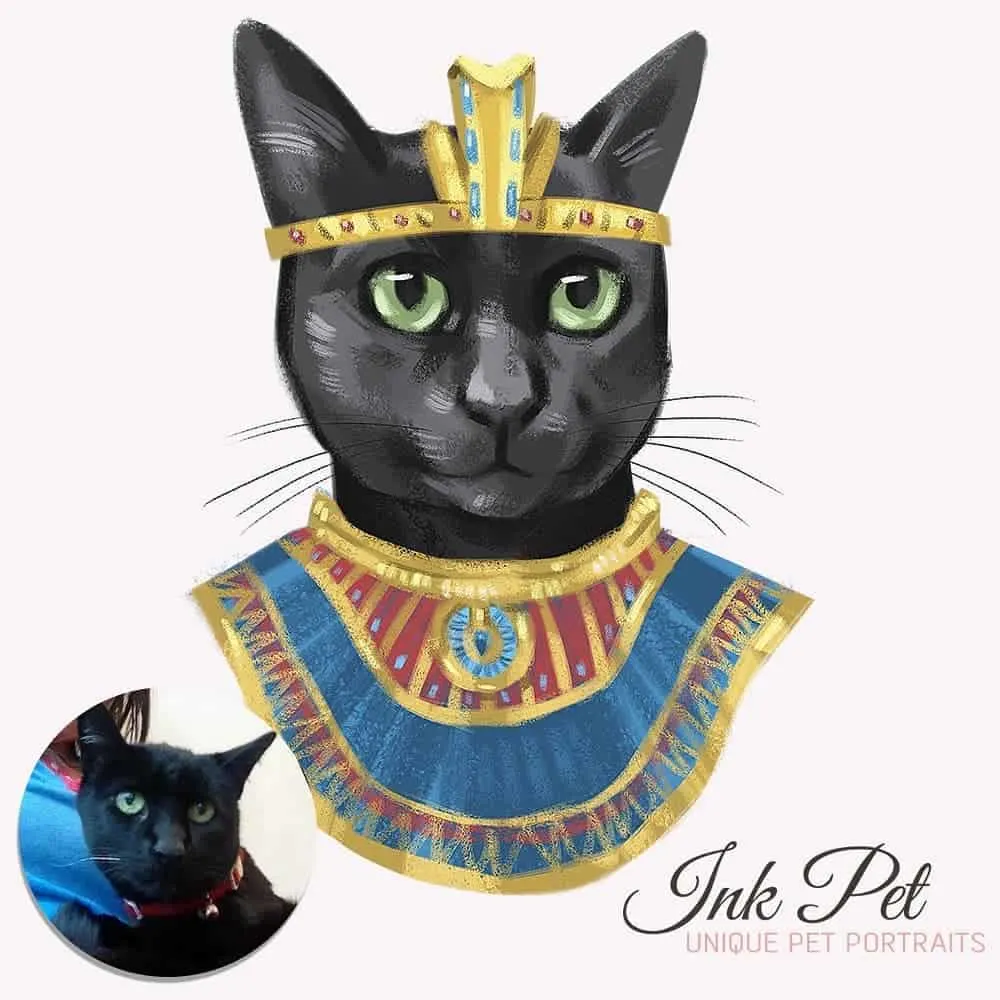 Ink-Pet Personalized Pet Portrait | Fluffy Kitty