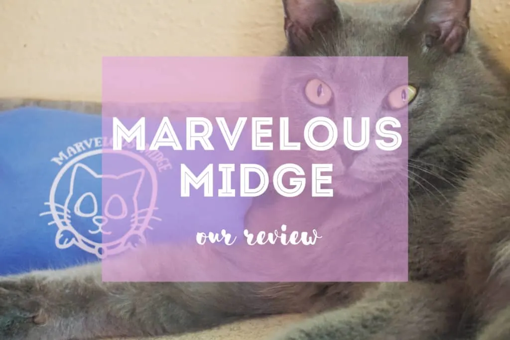 Marvelous Midge Review | Fluffy Kitty