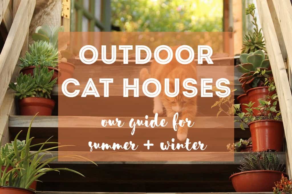 Best Outdoor Cat House | Fluffy Kitty