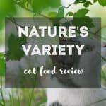 Eco-Friendly Cat Beds | Our Selection