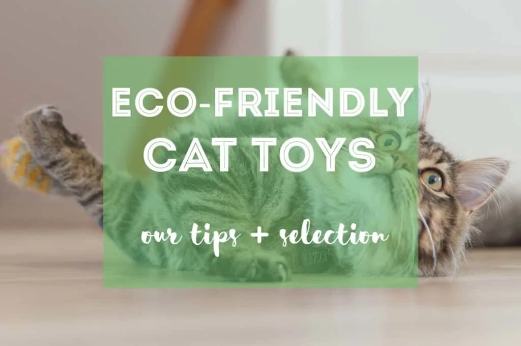 Eco-Friendly Cat Toys | Fluffy Kitty