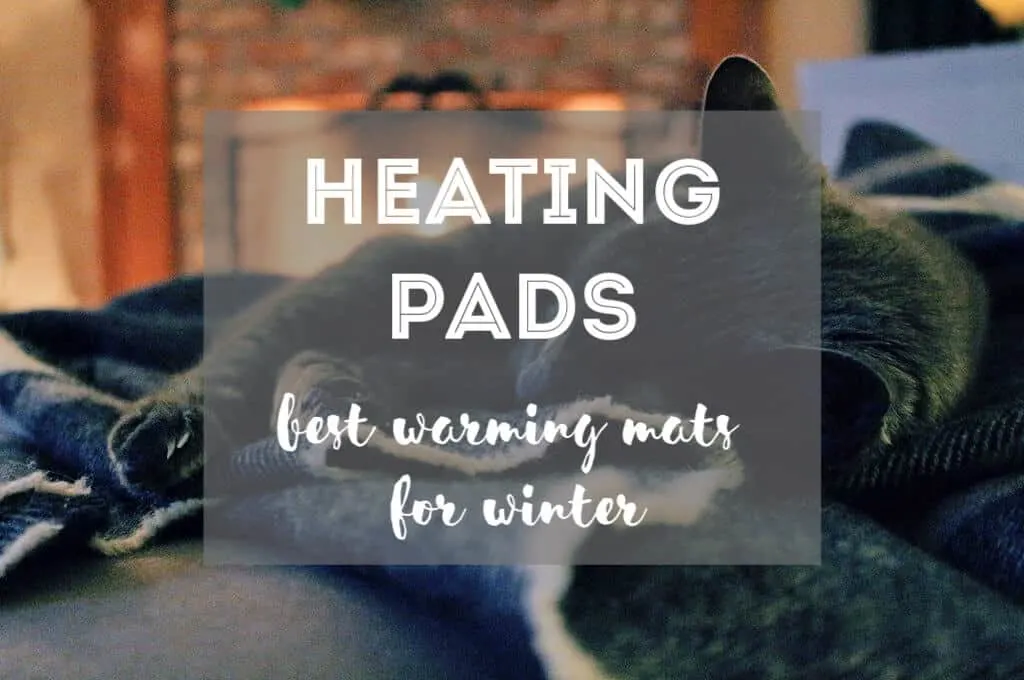 Best Cat Heating Pads | Fluffy Kitty