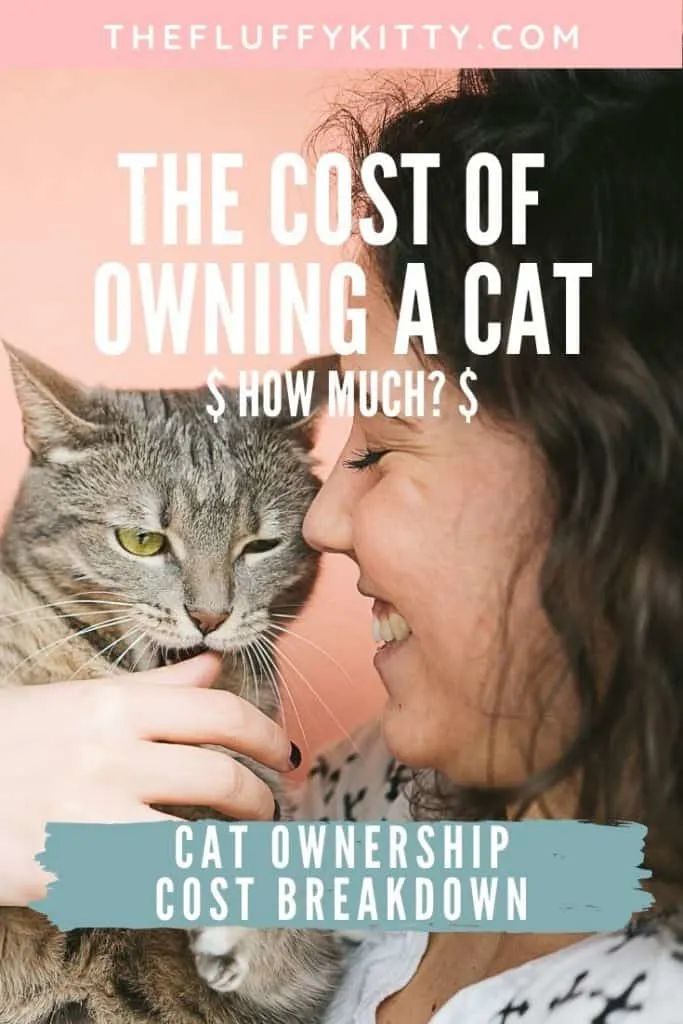 Cost of Owning a Cat - Cost Breakdown of Cat Ownership | Fluffy Kitty