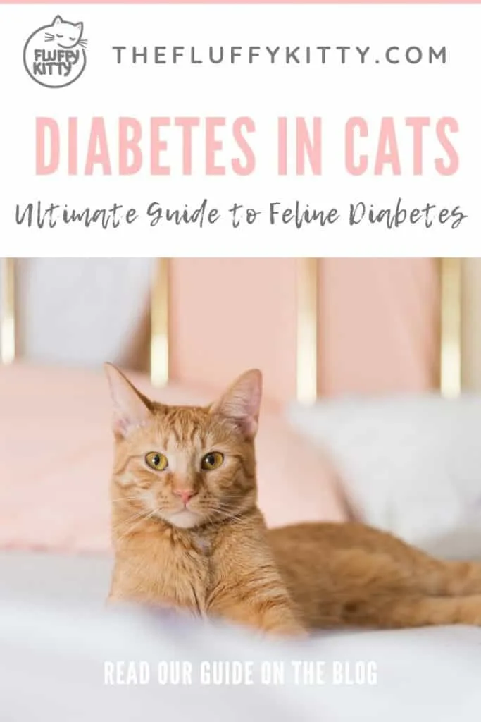 Diabetes in Cats - Ultimate Guide | Fluffy Kitty #cathealth #cats #catnutrition #catcare