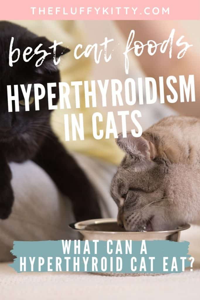 Hyperthyroidism in Cats: What Can a Hyperthyroid Cat Eat? www.thefluffykitty.com The Fluffy Kitty #cats #cathealth #catfood #hyperthyroidcats