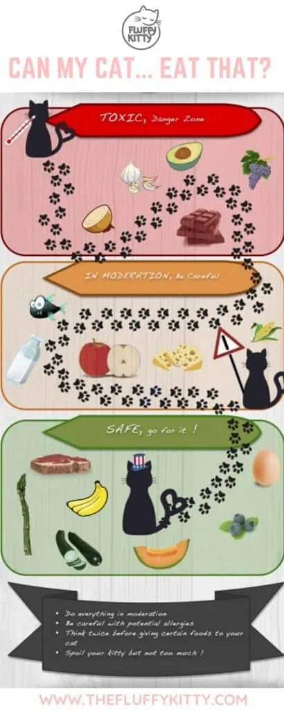 15 Human Foods Cats Cat and Cannot Eat #catfood #cats #infographic #catlovers www.thefluffykitty.com The Fluffy Kitty Blog
