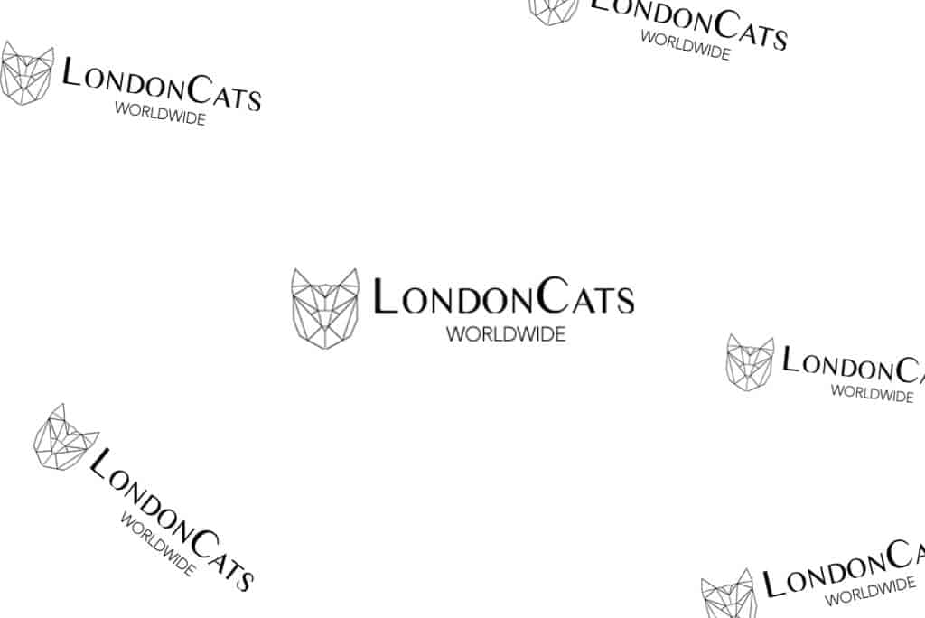 International Cat Show 2019 LondonCats | Fluffy Kitty
