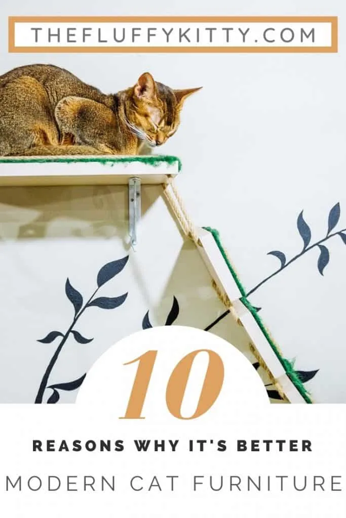 10 Reasons Why Modern Cat Furniture Is Better | The Fluffy Kitty www.thefluffykitty.com #catfurniture #modern #homedecor #cats