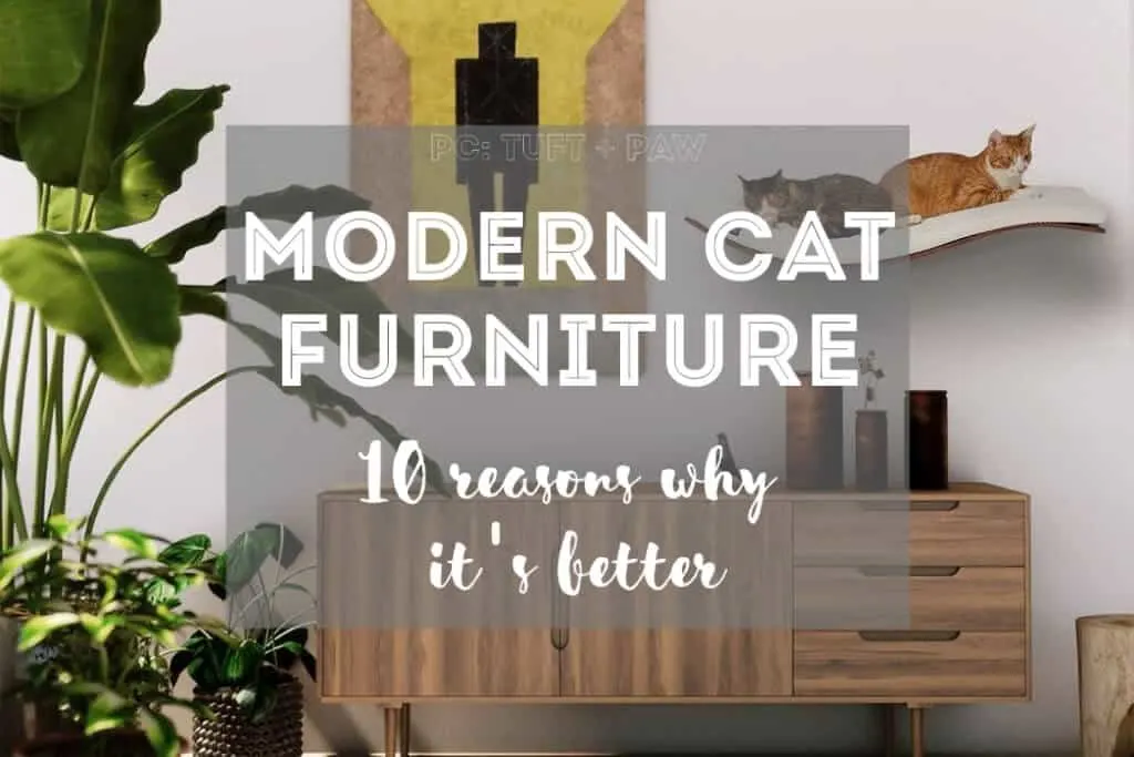 10 Reasons Why Buying Modern Cat Furniture is Better | Fluffy Kitty