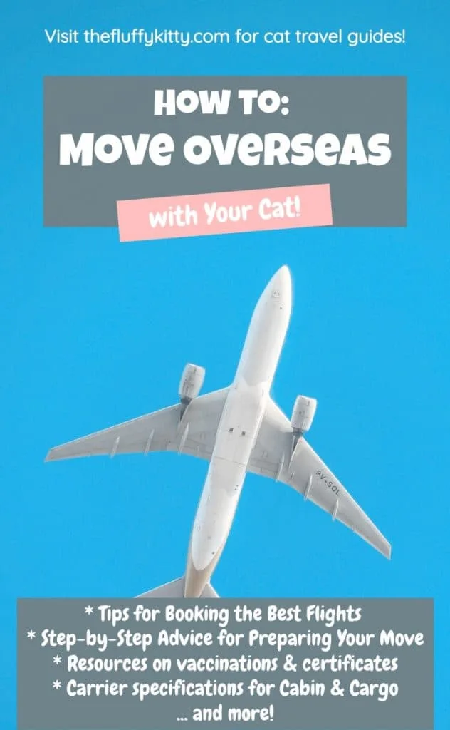 Moving Overseas with Cats Guide | Fluffy Kitty Blog thefluffykitty.com