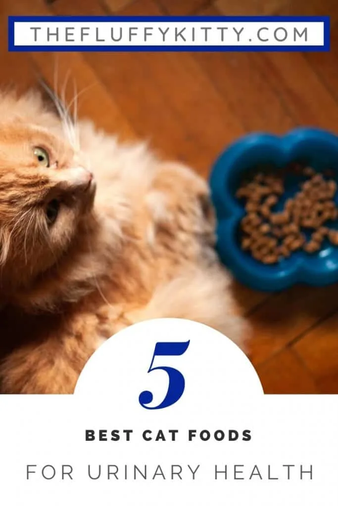 5 Best Cat Foods for Urinary Tract Health in Cats | Guide by The Fluffy Kitty www.thefluffykitty.com